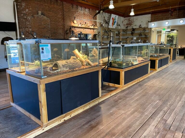 Exploring the ECO Center: A Hands-On Wildlife Adventure in Northwest Georgia