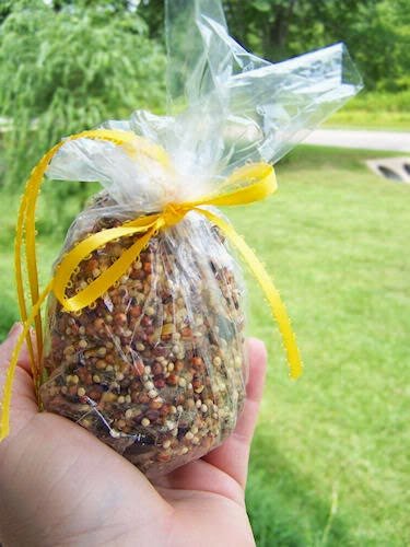 Pinecone Bird Feeders